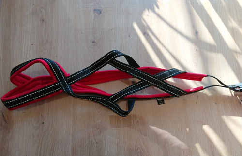 Hunde zuggeschirr back - hunde,