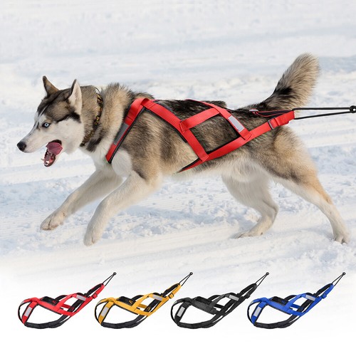 Hunde zuggeschirr back - zuggeschirr, x-back