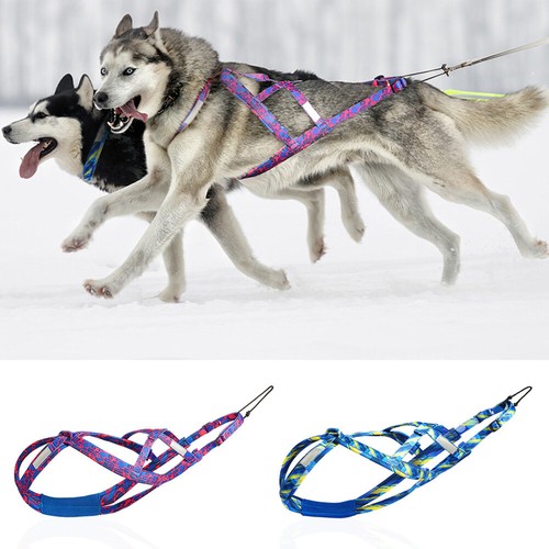 Neu hunde zuggeschirr - neu,